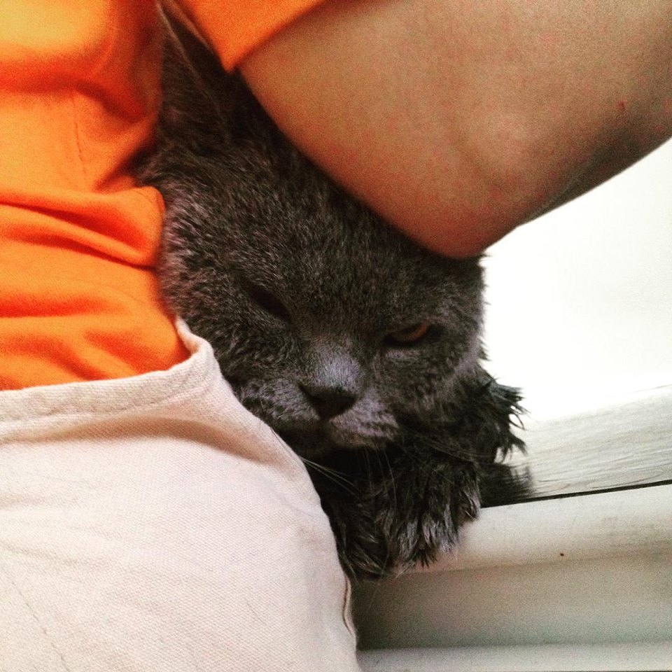 pet-before-tia